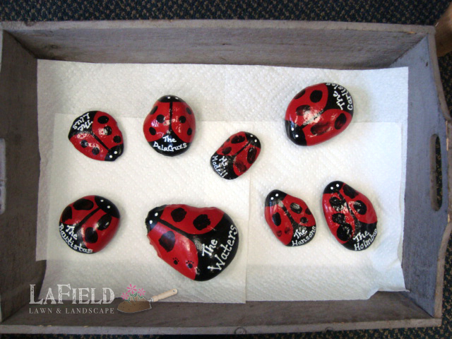 ladybug garden stones